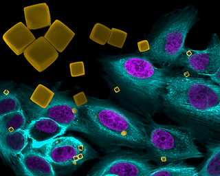 Illustration for article titled These Science Photos Are So Beautiful They're Basically Art